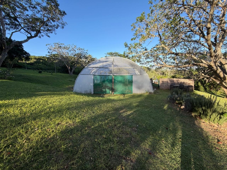 4 Bedroom Property for Sale in Bathurst Eastern Cape